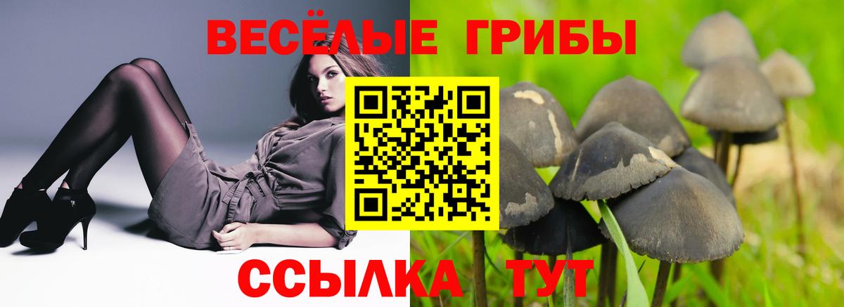 Артёмовский  Псилоцибиновые грибы мицелий  Вход с VPN  Галлюциногенные грибы ЛСД 